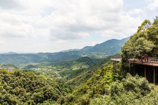 青山