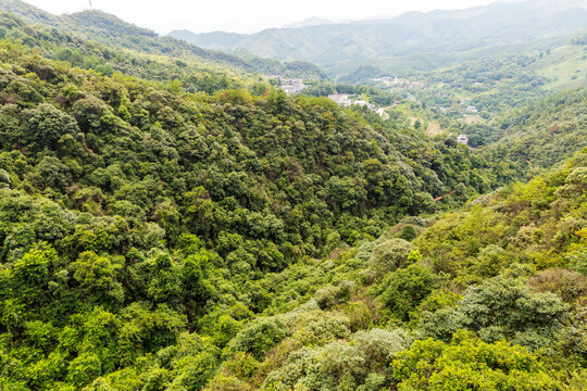 青山