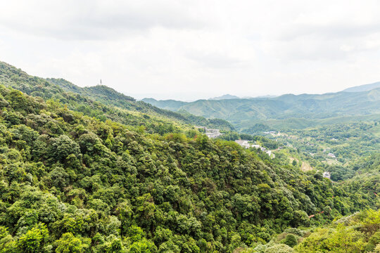 青山