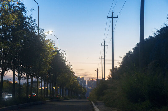 暮色下的公路行道树电线杆