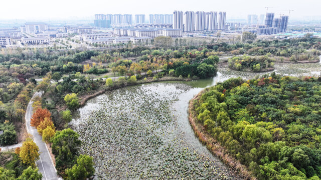 江苏徐州潘安湖风光