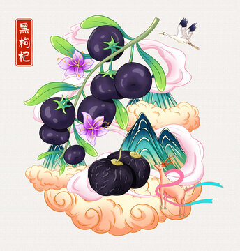 黑枸杞插画手绘