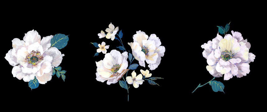 花卉