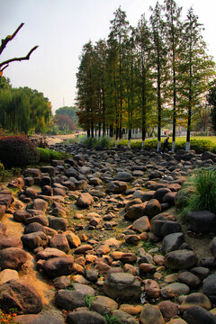 昆山城市公园园林景观