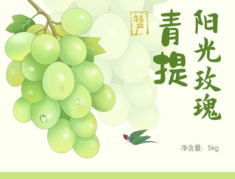 绿色青提葡萄手绘包装