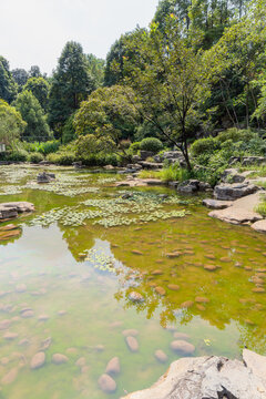重庆江北鸿恩寺森林公园盆景园