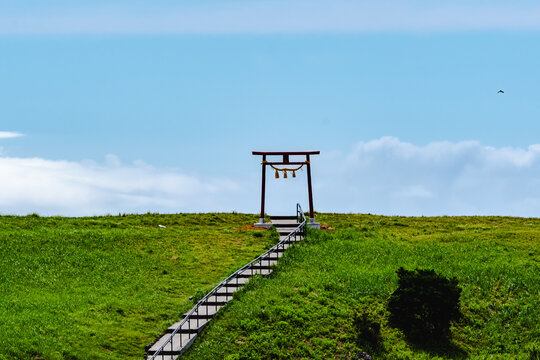 大室山风景红色鸟居
