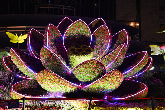 北京西站南广场花卉夜景