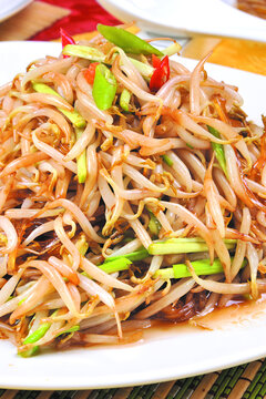 炒笨豆芽