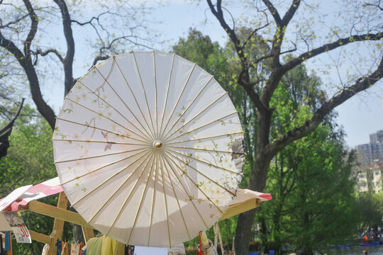 油纸伞
