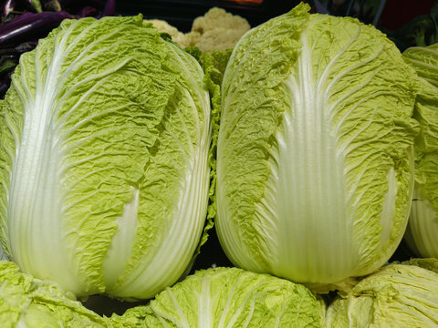 大白菜