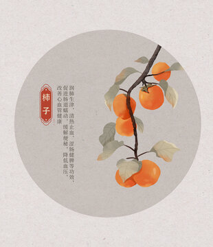 柿子水彩插画