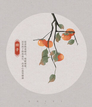 柿子水彩插画