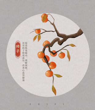 柿子水彩插画
