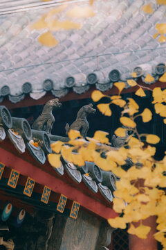 法源寺