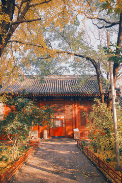 法源寺