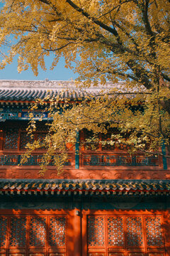 法源寺