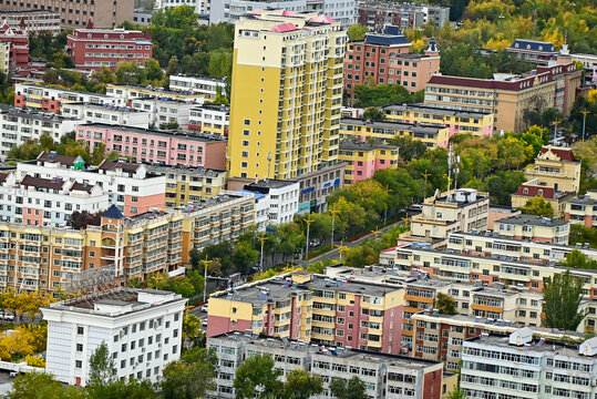 阿勒泰市将军山森林公园秋景