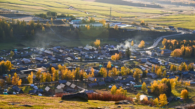 白哈巴村秋景白桦林