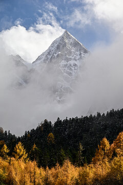 川西毕棚沟金字塔雪山秋景