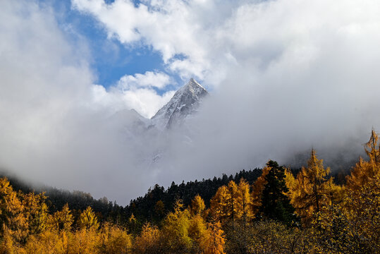川西毕棚沟金字塔雪山秋景