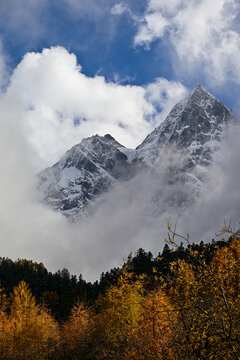 川西毕棚沟金字塔雪山秋景