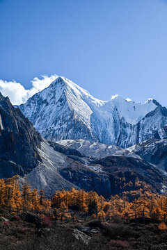 稻城亚丁夏诺多吉神山秋景