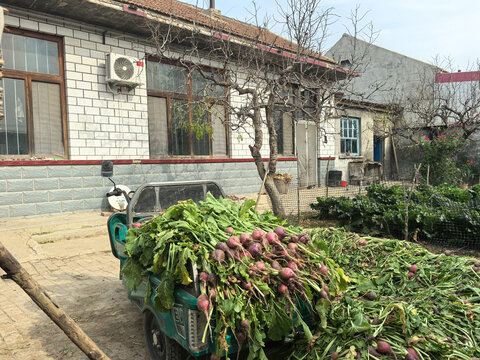 农家院