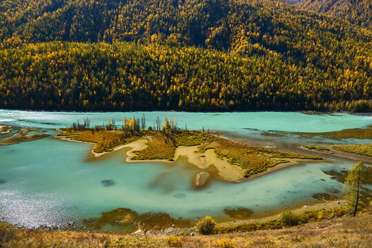 喀纳斯卧龙湾秋景