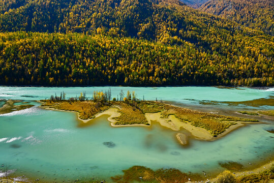 喀纳斯卧龙湾秋景