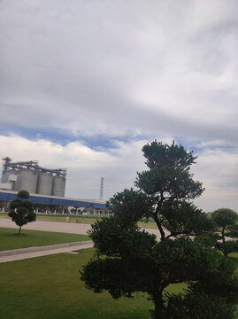 绿化带