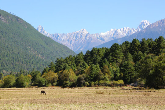 宁静的山谷
