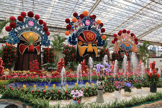 青州花博会