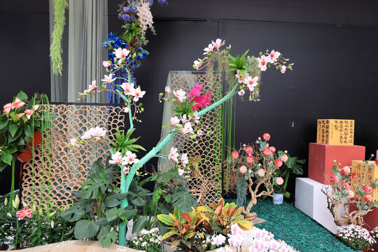 青州花博会
