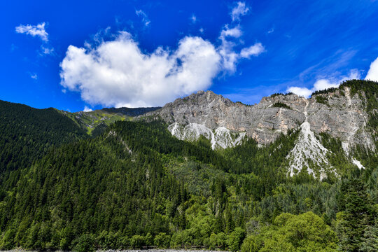 青山