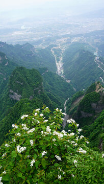 张家界风景