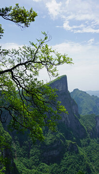 张家界天门山风景