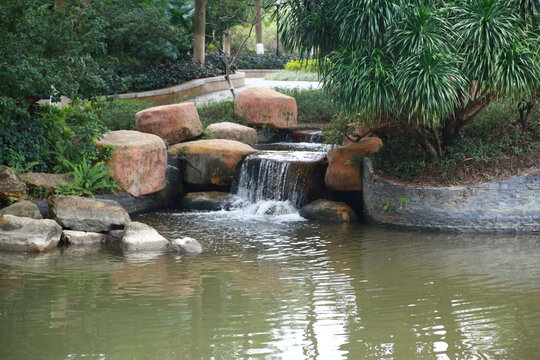 公园流水小溪