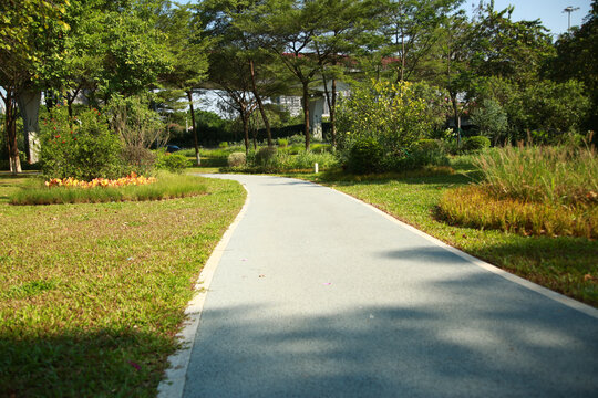公园小路