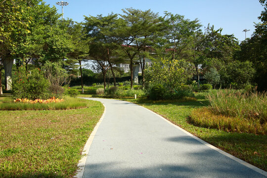 公园小路