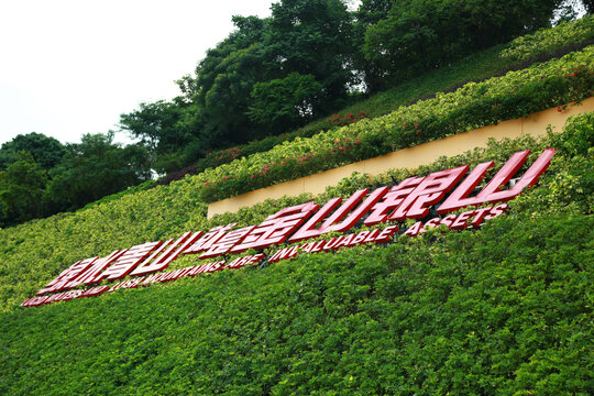 绿水青山就是金山银山