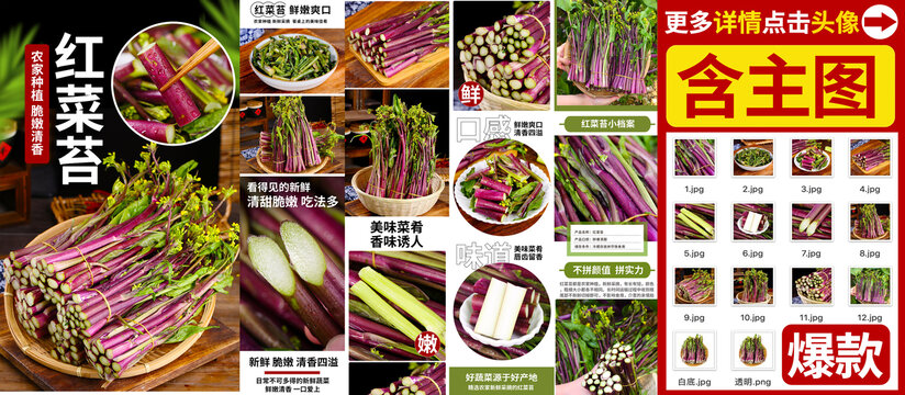 红菜苔详情