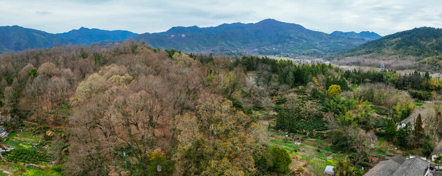 宏村