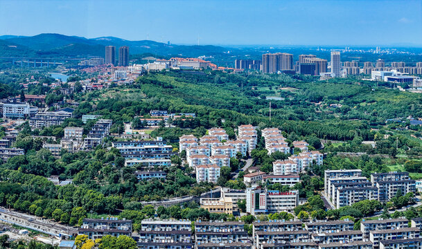 荆门市