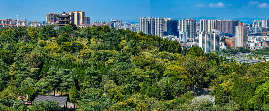 荆门市