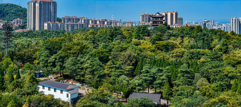 荆门市
