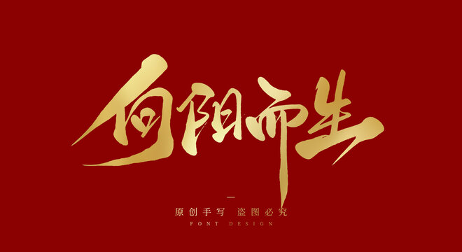 向阳而生