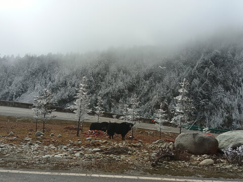 红石公园雪景