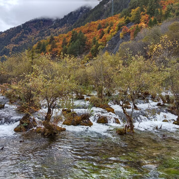 九寨沟