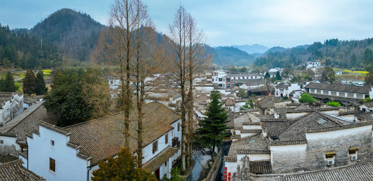 西递